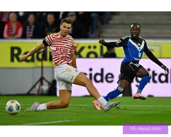 汉堡柏林战维埃拉武什科维奇首发